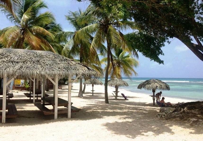 Le Ti'Paradise Anse Des Rochers Belle-Allée エクステリア 写真