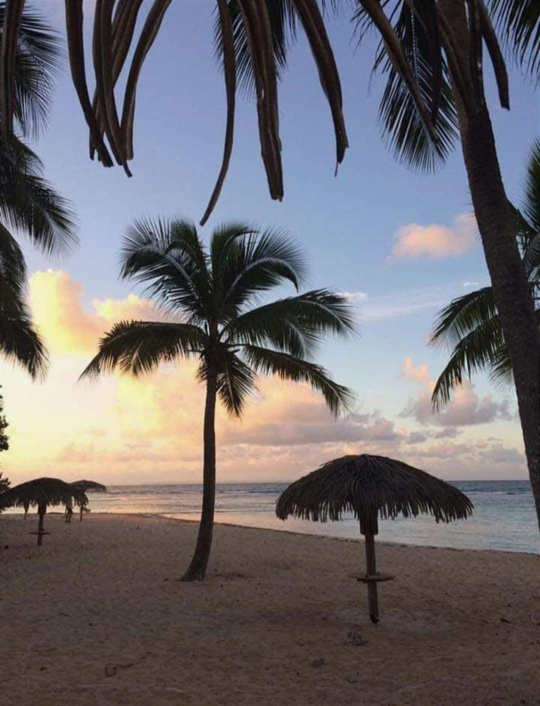 Le Ti'Paradise Anse Des Rochers Belle-Allée エクステリア 写真
